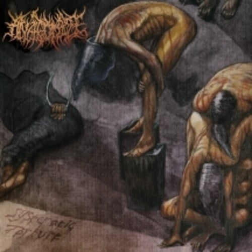 Anatomize: Systematic Torture - COMPACT DISCS