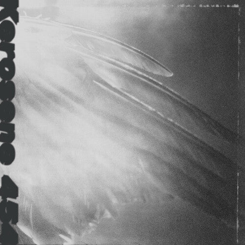 Kerosene 454: Came By To Kill Me - VINYL LP