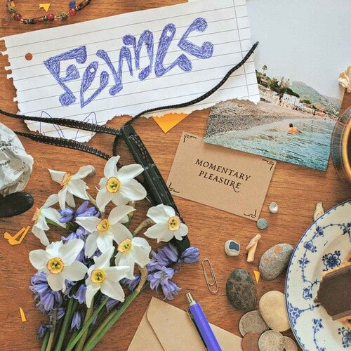 Fennec: Momentary Pleasure - 12-INCH SINGLE