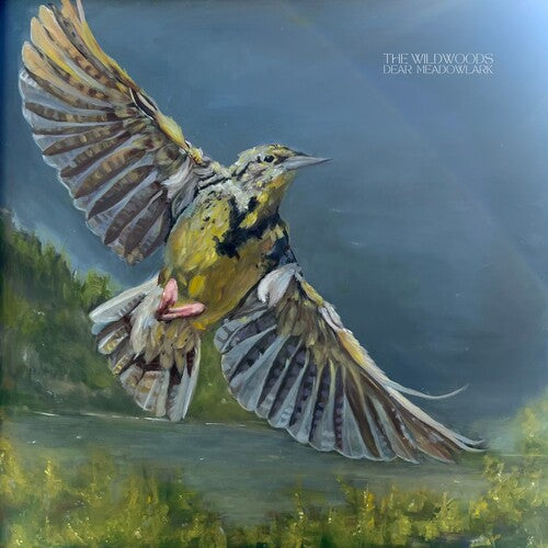 Wildwoods: Dear Meadowlark - COMPACT DISCS