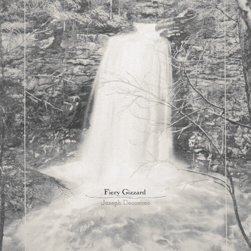 Decosimo, Joseph: Fiery Gizzard - VINYL LP