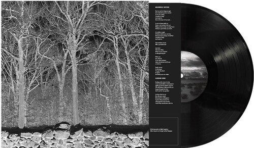 Pile: Sunshine and Balance Beams - VINYL LP