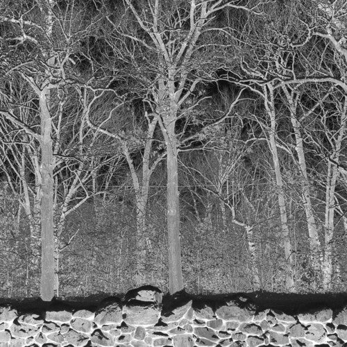 Pile: Sunshine and Balance Beams - CASSETTES