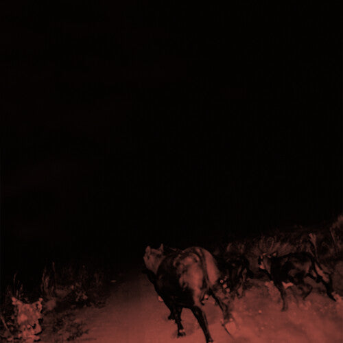 Bambara: Shadow On Everything - White - VINYL LP