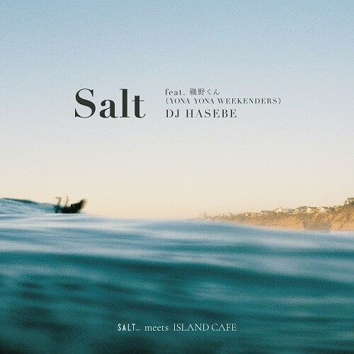 DJ Hasebe: Salt feat. Isono-kun (Yona Yona Weekenders) - 7-INCH SINGLE