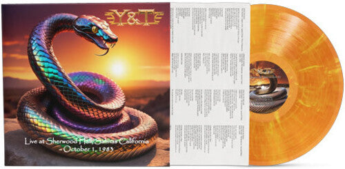 Y & T: Live at Sherwood Hall, Salinas, California - October 1, 1983 - Clear Tangerine with yellow swirl - VINYL LP