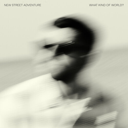 New Street Advanture: What Kind of World? - VINYL LP