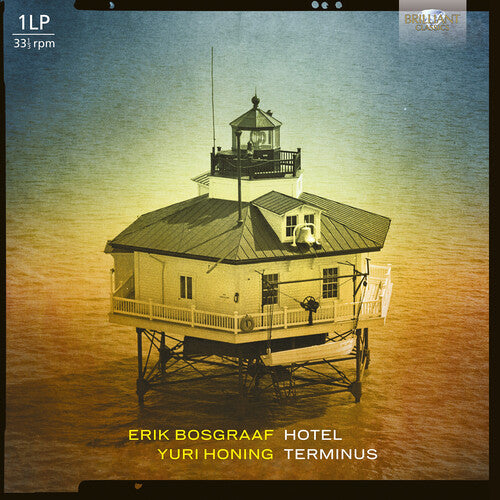 Bosgraaf, Erik: Hotel Teminus - VINYL LP