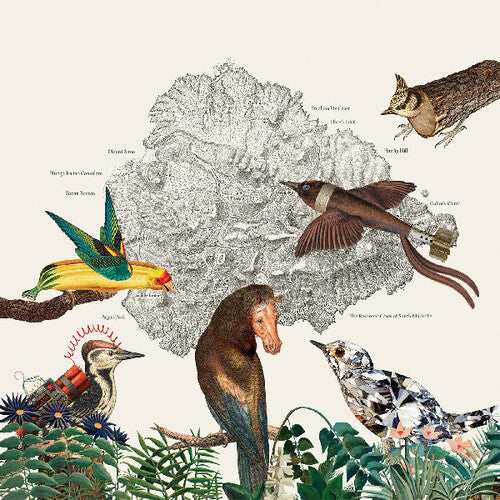 Friendly Rich: The Birds of Marsville - VINYL LP