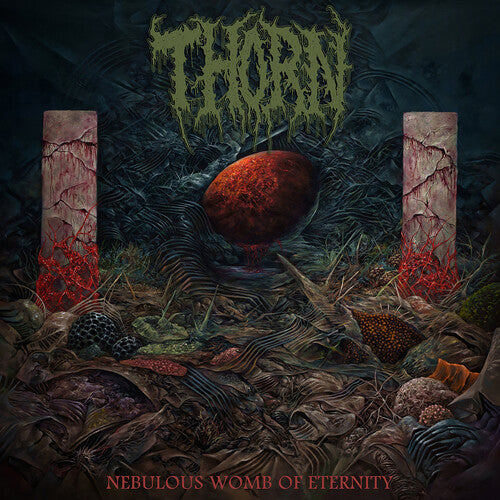 Thorn: Nebulous Womb Of Eternity - COMPACT DISCS