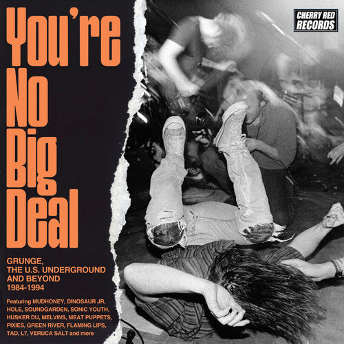 You're No Big Deal: Grunge Us Underground & Beyond: You're No Big Deal: Grunge, The U.S. Underground & Beyond 1984-1994 / Various - COMPACT DISCS