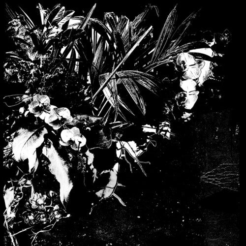 Mertens, Jef: Orchid Alto - VINYL LP
