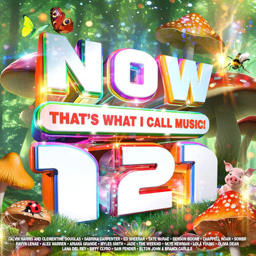 Various Artists: Now That's What I Call Music 121 / Various - COMPACT DISCS