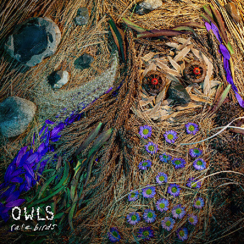 The Owls: Rare Birds - COMPACT DISCS