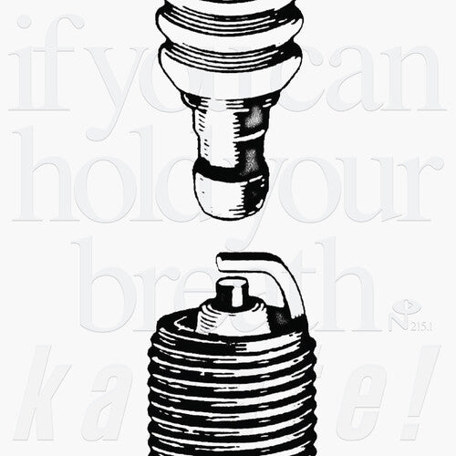 Karate: If You Can Hold Your Breath - VINYL LP