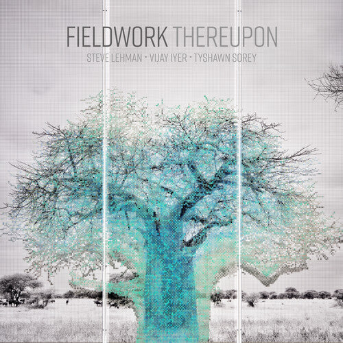 Fieldwork: Thereupon - COMPACT DISCS