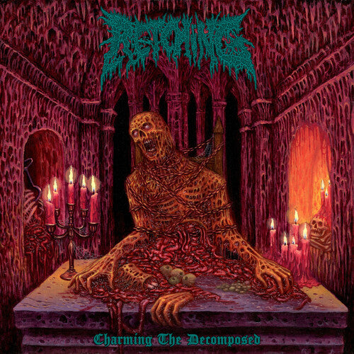 Retching: Charming The Decomposed - COMPACT DISCS