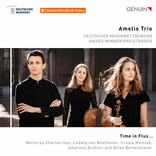Amelio Trio: Time in Flux… - COMPACT DISCS