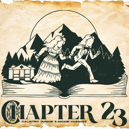 Chapter 23: Chapter 23 - VINYL LP