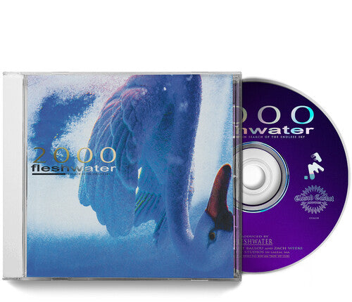 Fleshwater: 2000: In Search Of The Endless Sky - COMPACT DISCS