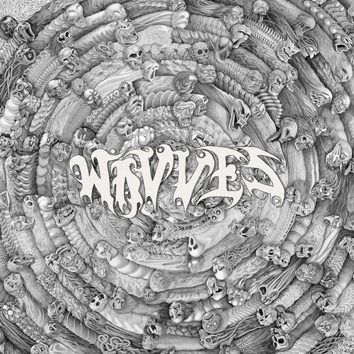 Wavves: Spun - VINYL LP