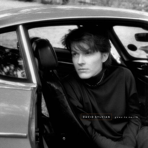 Sylvian, David: Gone To Earth - White Brown Opaue Black - VINYL LP