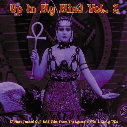 Up in My Mind Vol 2: 17 More Fuzzed Out Acid / Var: Up In My Mind Vol. 2: 17 More Fuzzed Out Acid Tabs From The Lysergic '60s & Early '70s (Various Artists) - VINYL LP
