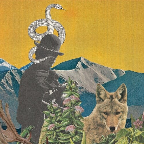Graves, Leslie / Goodshank, Toby: Between Worlds - VINYL LP