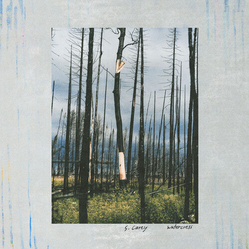 S. Carey: Watercress - VINYL LP