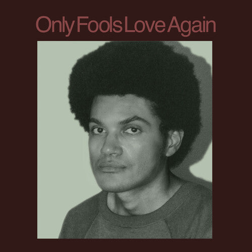 Ayala, Danny: Only Fools Love Again - VINYL LP