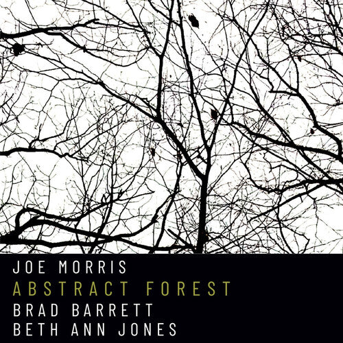 Joe Morris: Abstract Forest - COMPACT DISCS