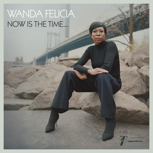 Wanda Felicia / Cold Diamond & Mink: Now Is the Time - Pink - VINYL LP