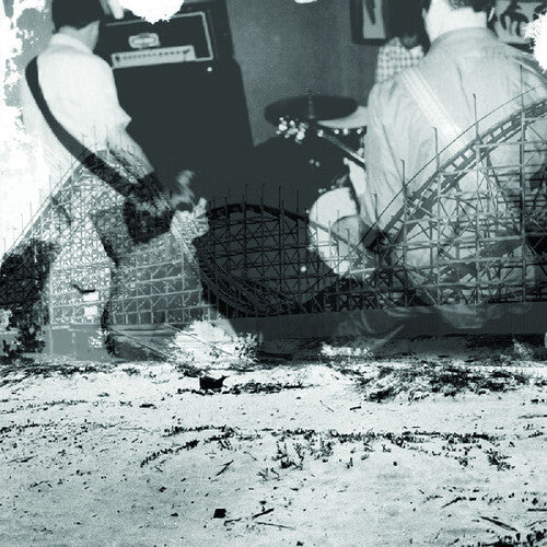 Nuzzle: Follow, for Now - VINYL LP