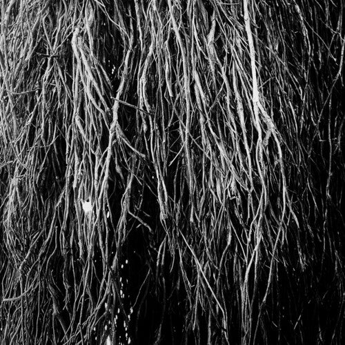 Bernocchi, Eraldo / Cavalera, Iggor / Merzbow: Nocturnal Rainforest - VINYL LP