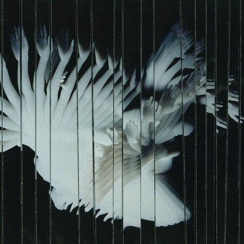 Scaler: Endlessly - VINYL LP