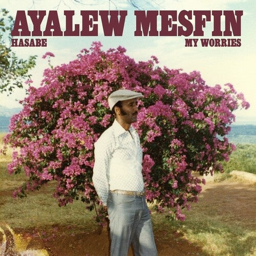 Mesfin, Ayalew: Hasabe - My Worries - VINYL LP