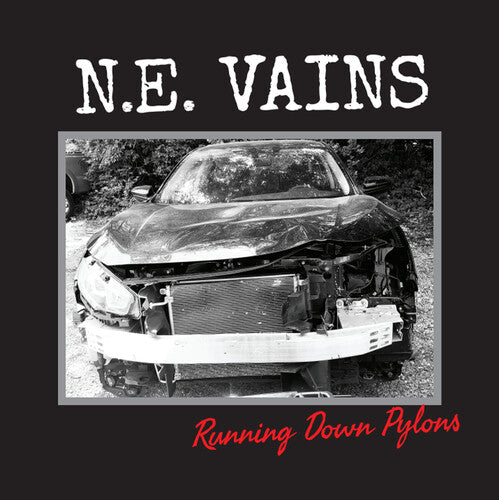 NE Vains: Running Down Pylons - VINYL LP