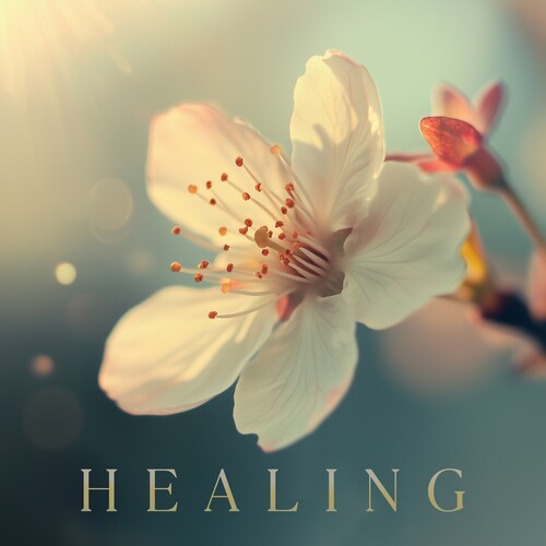 Various Artists: Healing (Various Artists) - COMPACT DISCS