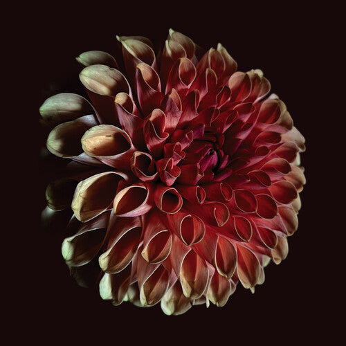 Jessica Moss: Unfolding - VINYL LP