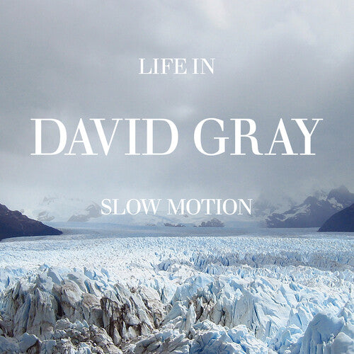 Gray, David: Life in Slow Motion (20th Anniversary Edition) - VINYL LP