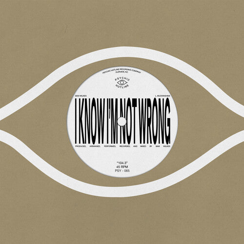 Sam Wilkes: 104.3 - VINYL LP