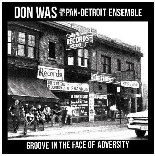 Was, Don: Groove In The Face Of Adversity - VINYL LP