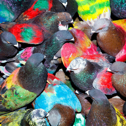 Blawan: Sickelixir - COMPACT DISCS