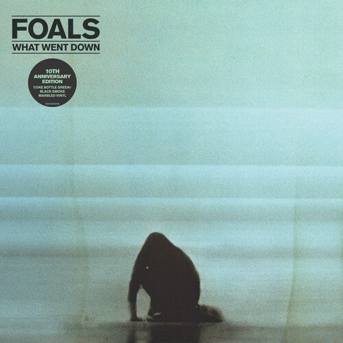 Foals: What Went Down - VINYL LP