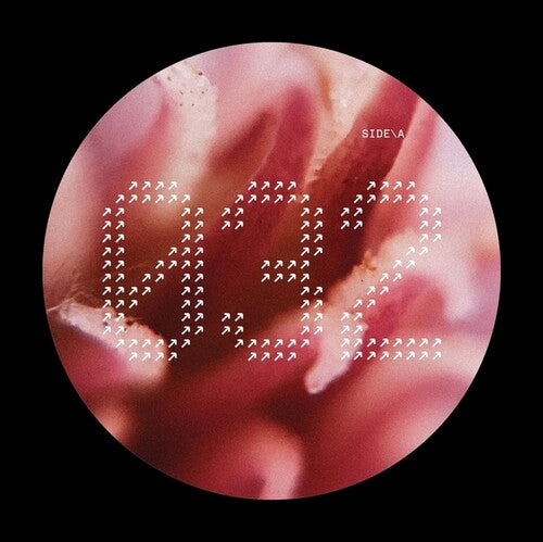 Nech032 / Various: NECH032 - 12-INCH SINGLE