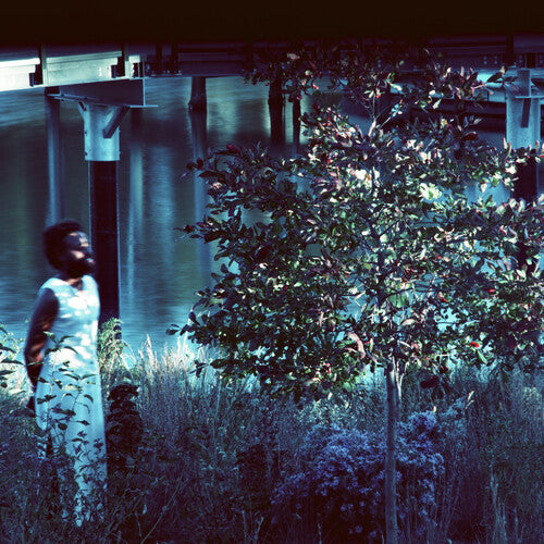 Jjjjjerome Ellis: Vesper Sparrow - COMPACT DISCS