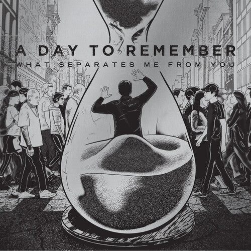 Day to Remember: What Separates Me From You - VINYL LP