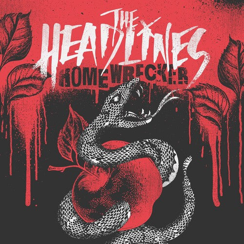 Headlines: Homewrecker - Black/White Marble Swirl - VINYL LP