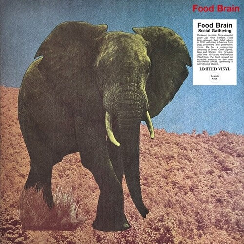 Food Brain: Social Gathering - VINYL LP