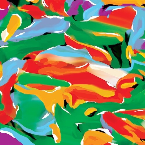 Auntie Flo: Birds Of Paradise - VINYL LP